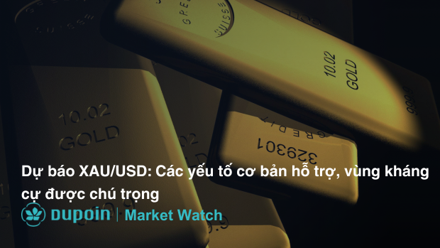 Market Analysis Dupoin (1)