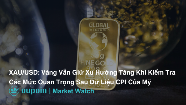 Market Analysis Dupoin (1)