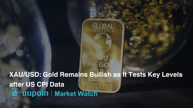 Market Analysis Dupoin